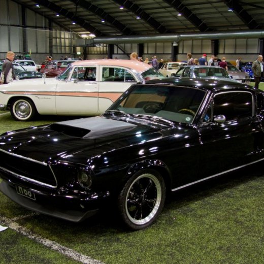 crop-13415562_532226313616290_804813937975416954_o