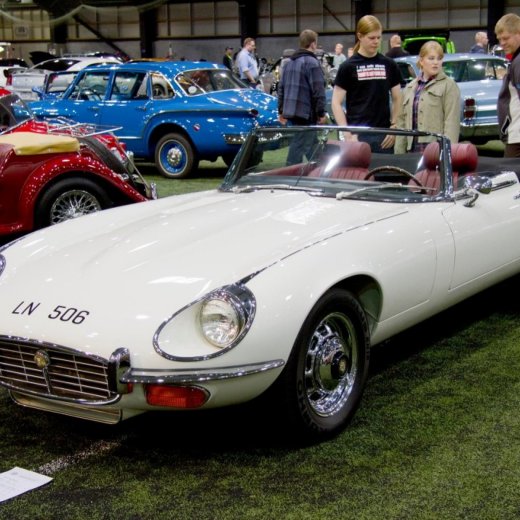 crop-13433071_532226646949590_7195854936077439093_o