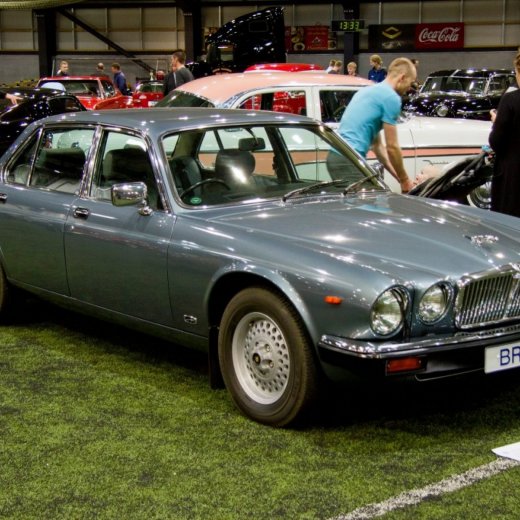 crop-13433123_532226870282901_3205990274992125456_o