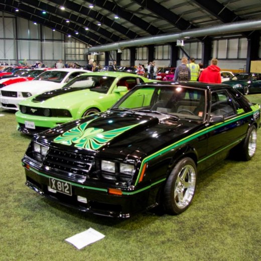 crop-13433222_532227066949548_7127635142865996690_o