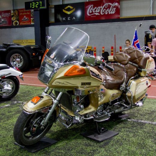 crop-13442435_532226033616318_4129879298389359993_o