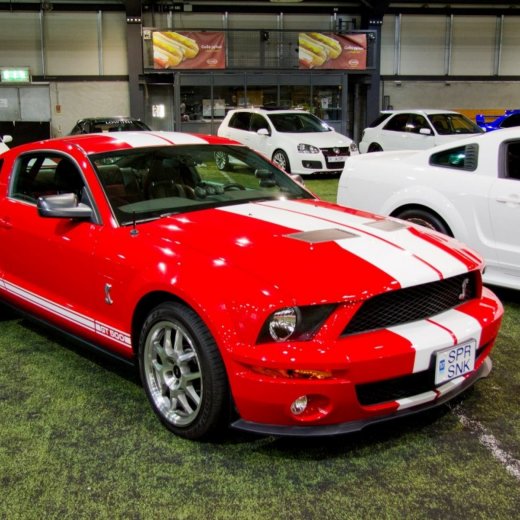 crop-13443292_532227236949531_2371756938432995258_o