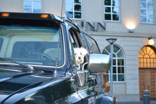 14047268_1120931877945752_2491515426727748472_o