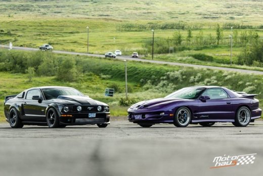 13494833_1626828000965631_8167603270478523738_n