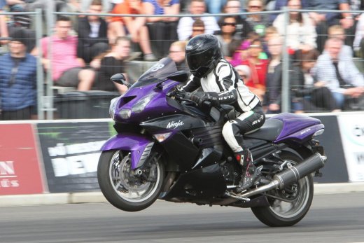 13498051_532488760256712_5102368741969002176_o