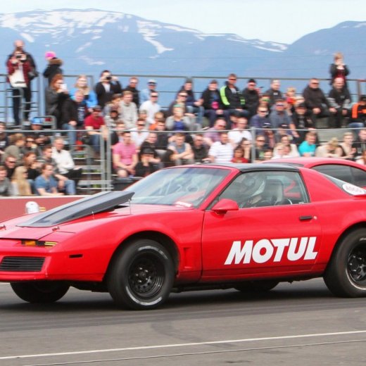 crop-13495353_532488750256713_2413648184854051284_o