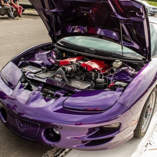 crop-13521994_1626827930965638_168476199180668651_n