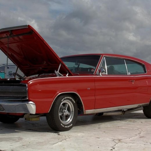 crop-coronet-500-021