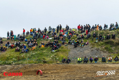 14053939_1656460991335665_8486002577317009528_o