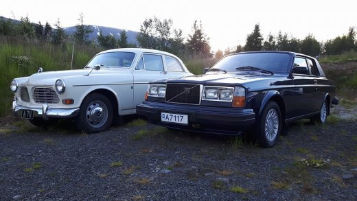 13659171_670329779785016_2170981934172367745_n