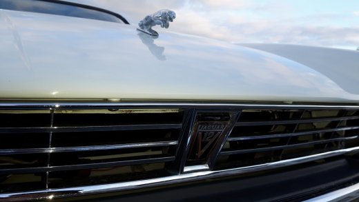 13669153_670329533118374_2702138709059467090_n