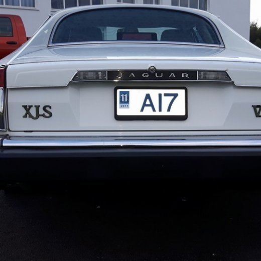 crop-13686672_670329499785044_5323286182401591108_n