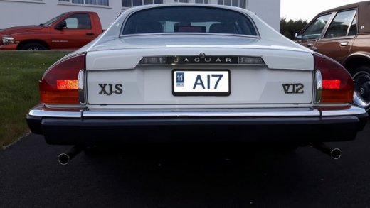 13686672_670329499785044_5323286182401591108_n