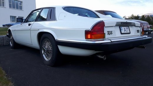 13692600_670329519785042_6052028648820585350_n