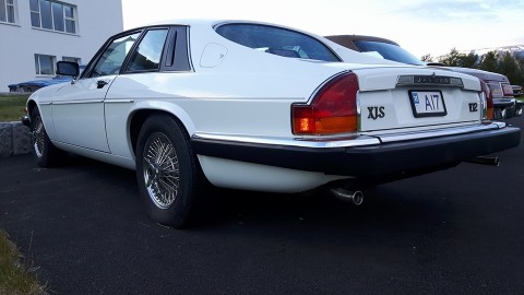 13692600_670329519785042_6052028648820585350_n