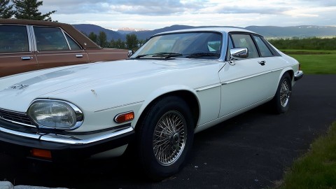 13700087_670329553118372_8743111155825034334_n