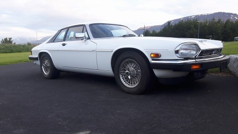 13709931_670329479785046_1779247029484741816_n