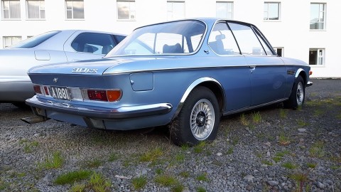 13710053_670329726451688_2622202163228137165_n