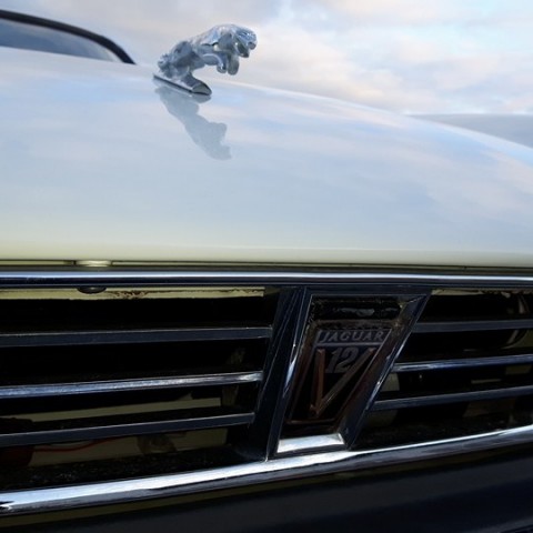 crop-13669153_670329533118374_2702138709059467090_n