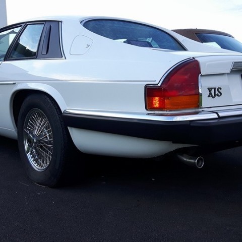 crop-13692600_670329519785042_6052028648820585350_n