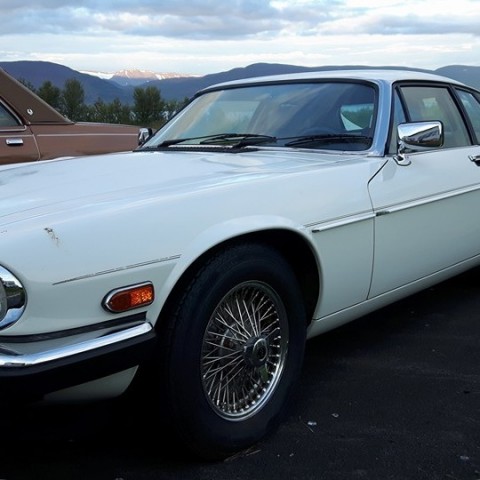 crop-13700087_670329553118372_8743111155825034334_n