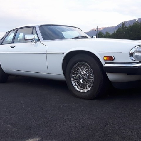 crop-13709931_670329479785046_1779247029484741816_n