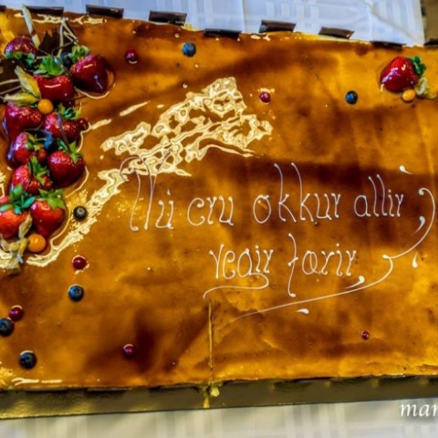 crop-13923698_10154353280152480_8827352688059929641_o