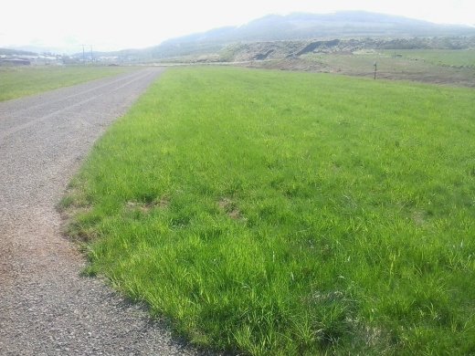 13307387_1227625397249667_4598732999913204229_n