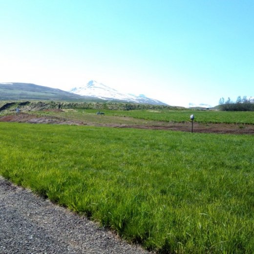 crop-img_20160603_115227