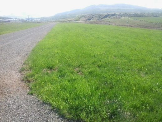 13307387_1227625397249667_4598732999913204229_n