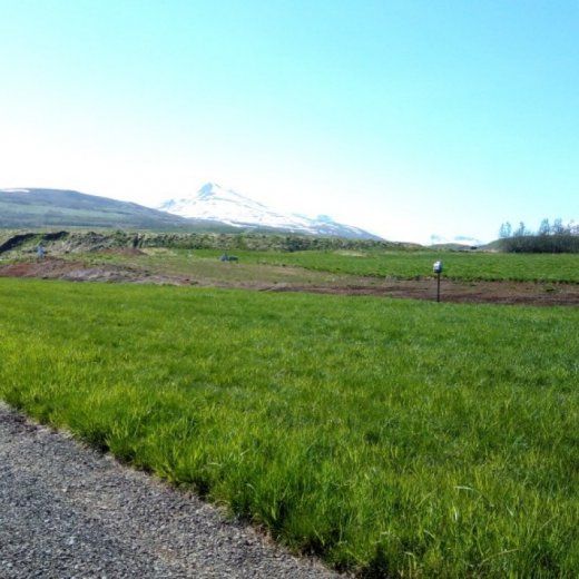 crop-img_20160603_115227