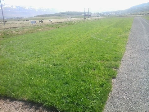 13336096_1227625507249656_8539321765098686489_n