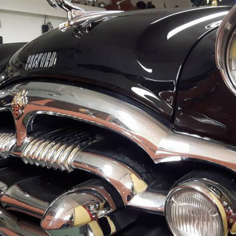 crop-15267723_750593901758603_896488583931247789_n